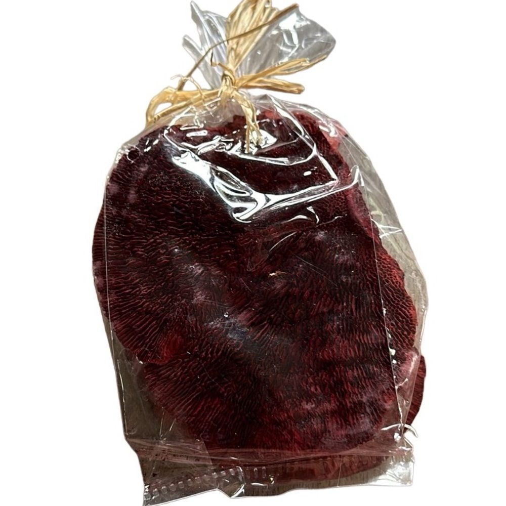 NEW Burgundy Sea Sponge Decorative (2 pack)